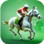 競爭對手游戲（Racehorse Ri