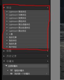 Lightroom預(yù)設(shè)進行導(dǎo)入的操作方法截圖