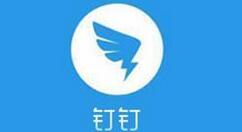釘釘電腦版在線檢查更新的詳細步驟