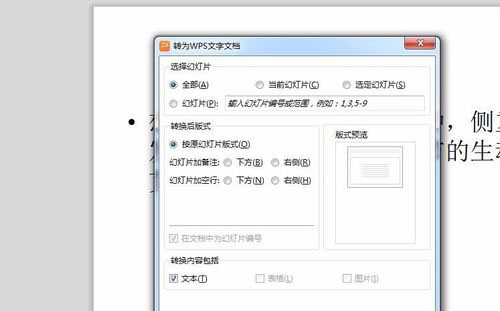 PowerPoint Viewer轉(zhuǎn)成word文件的詳細過程截圖