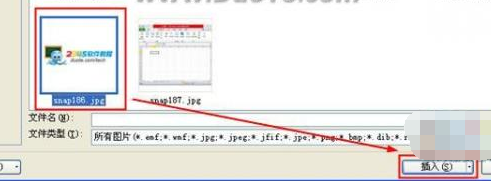 excel2010插入圖片的詳細(xì)方法截圖